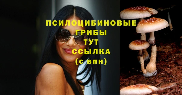 прущая мука Вяземский