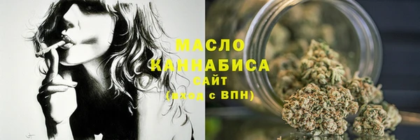 прущая мука Вяземский