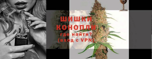 прущая мука Вяземский